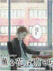 奔跑的周末 综艺在线观看